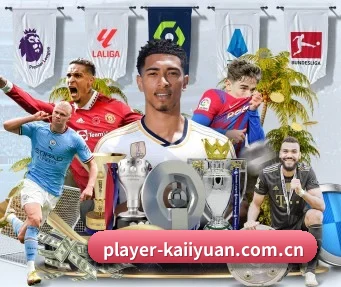 player-kaiiyuan.com.cn APP
